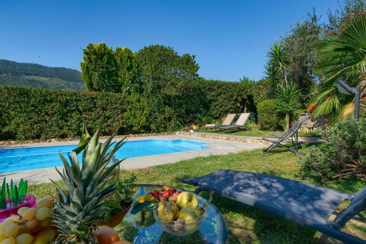 Villa Maria - In The Hills Above Florence Castiglione  外观 照片