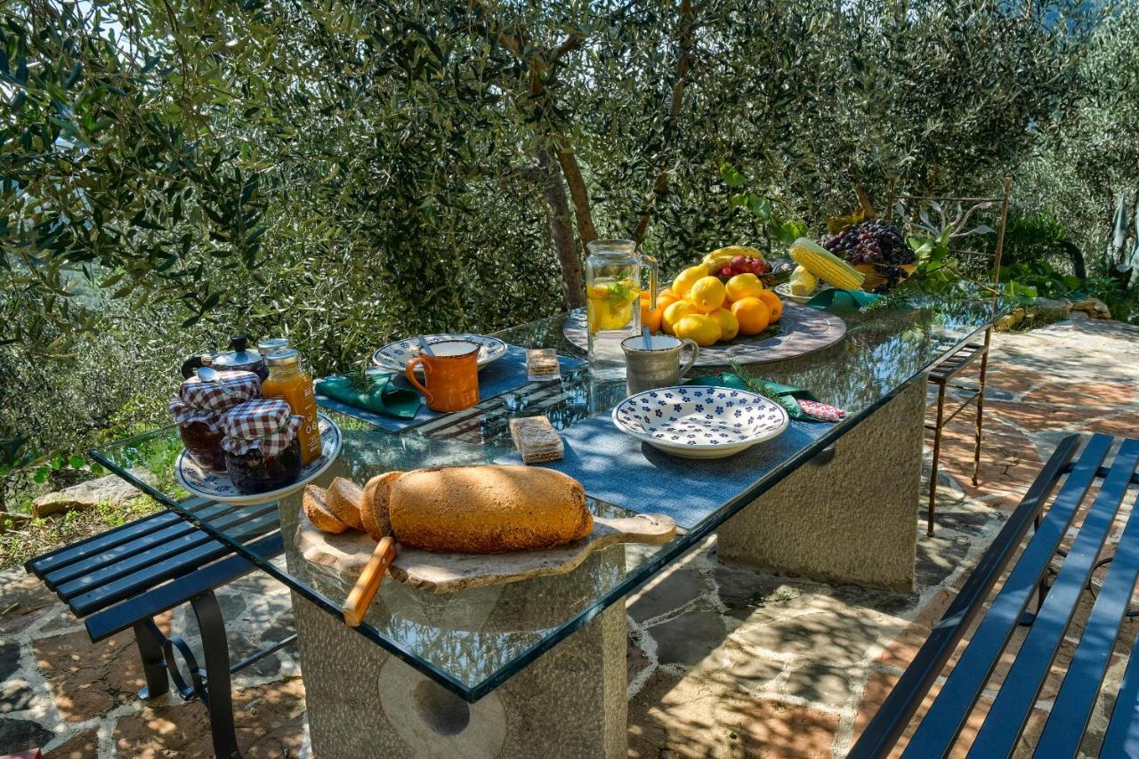 Villa Maria - In The Hills Above Florence Castiglione  外观 照片